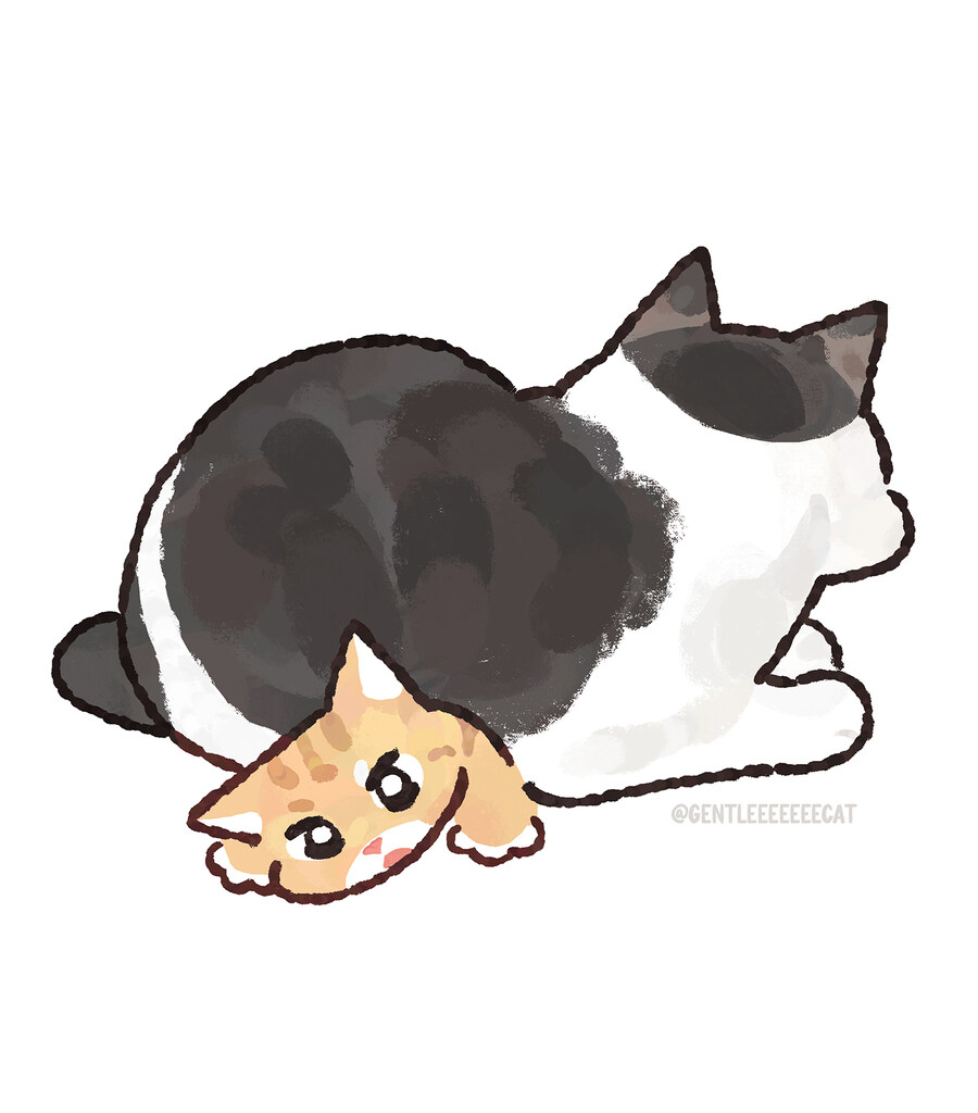 작은 고양이🐱를 깔아뭉개는 큰 고양이🐱