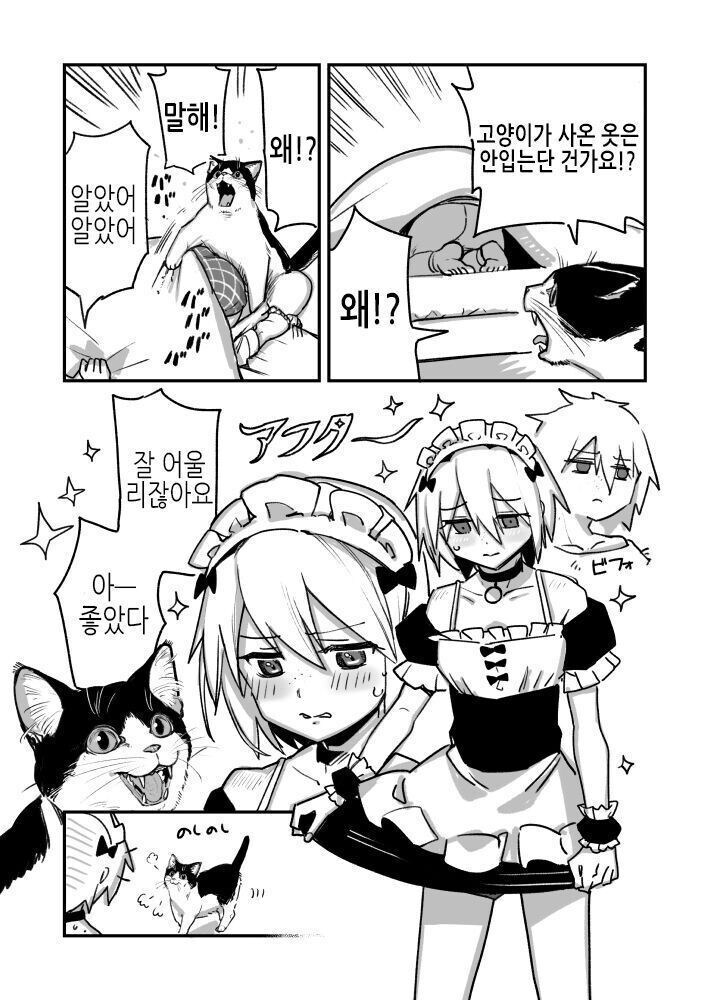 고양이가 옷사주는 만화_2.jpg