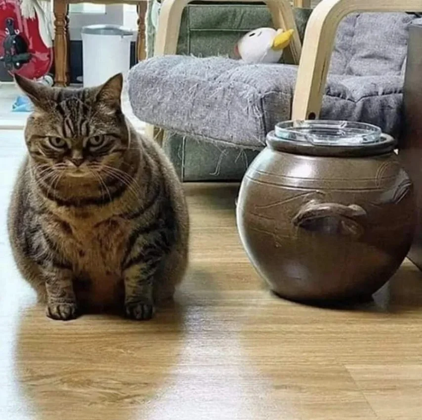 진정한 항아리 몸매_2.webp