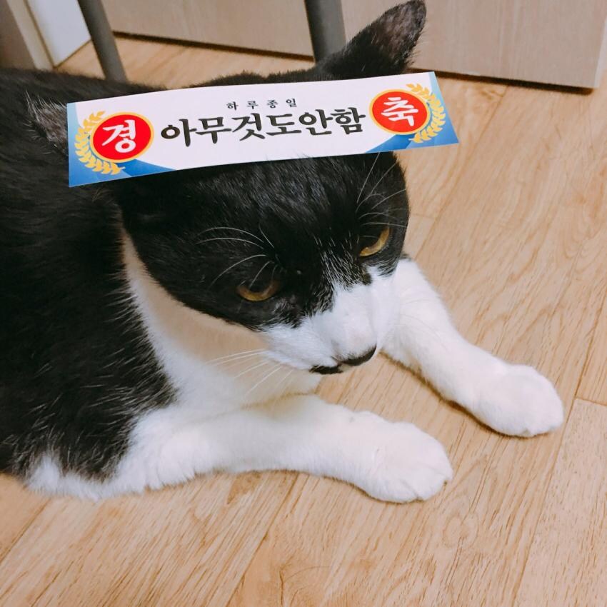 민생지원금 사용 뭔가 복잡하네_1.jpg