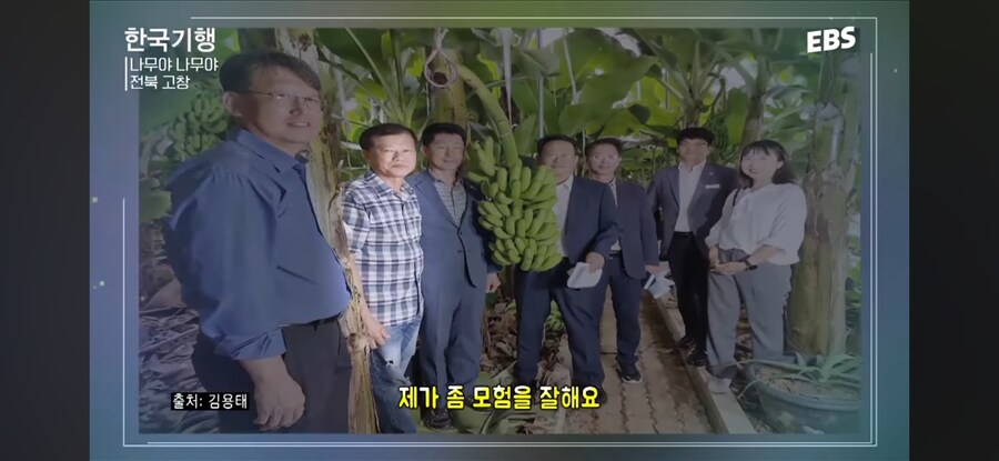 와 이 날씨면 바나나를 키우겠다_9.jpg