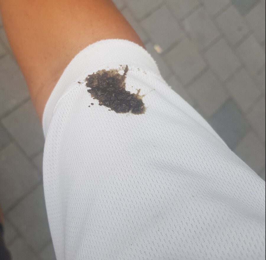 약혐) 새똥이란게 생각보다 좀 따끈축축하네_1.jpg