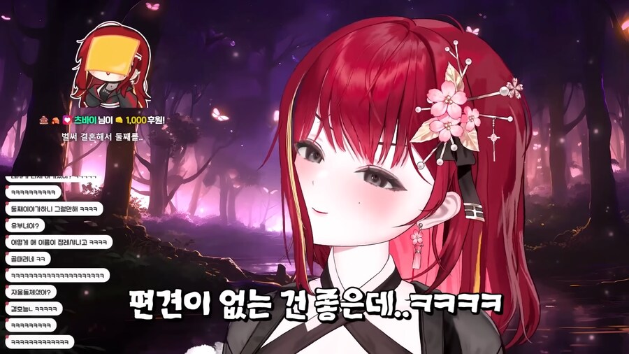 버튜버)편견이 너무 없던 시청자_8.png