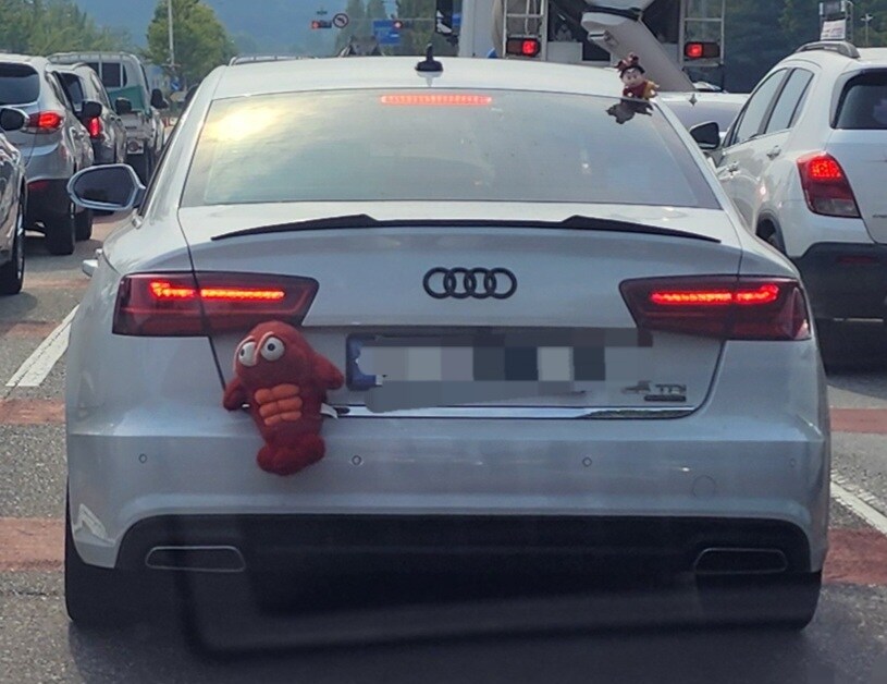 차에 인형 달아두는 이유가 뭐지?_1.jpg