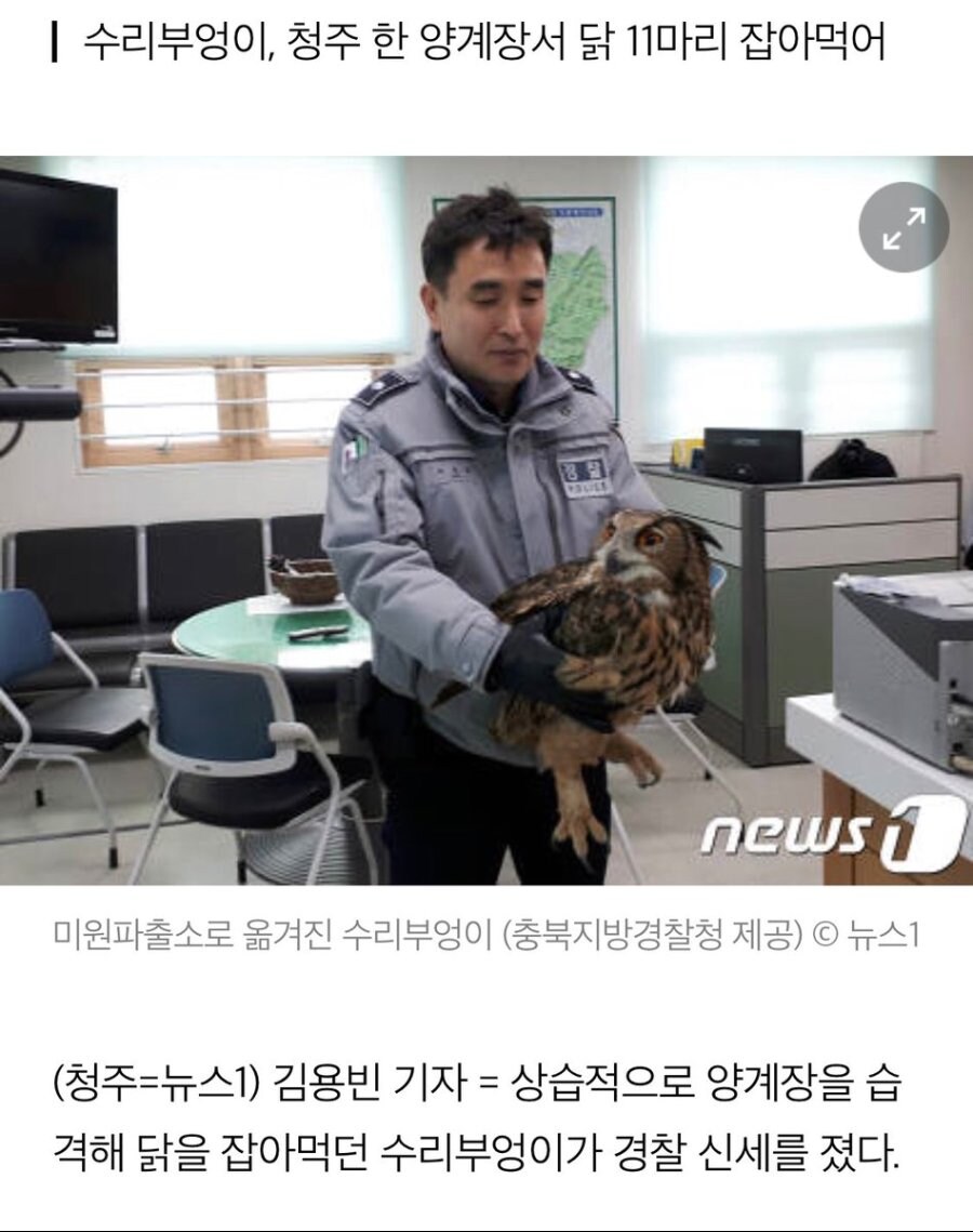 "크하핫 이게 이 나라 사법의 한계다!"_1.jpg