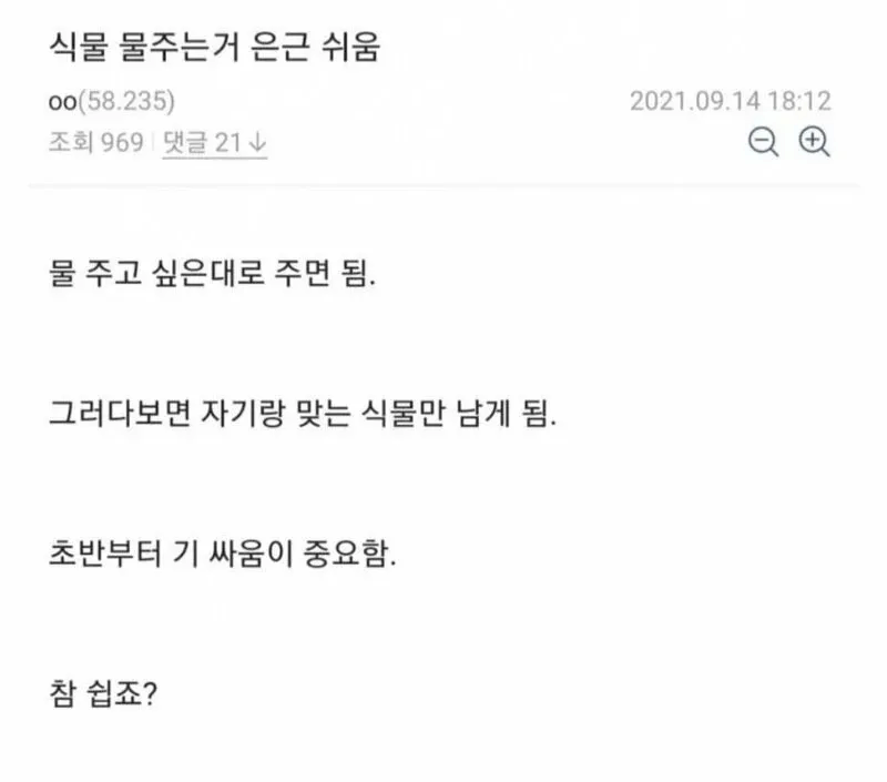 식물키우는 방법_1.webp