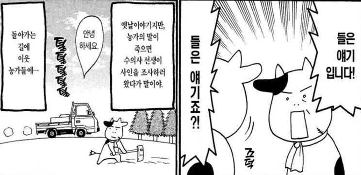 강연금 작가가 '전해 들은' 시골 비화_4.jpg