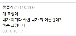 맡아주기로한 개 때문에 빡친다는 디시인.jpg_3.webp