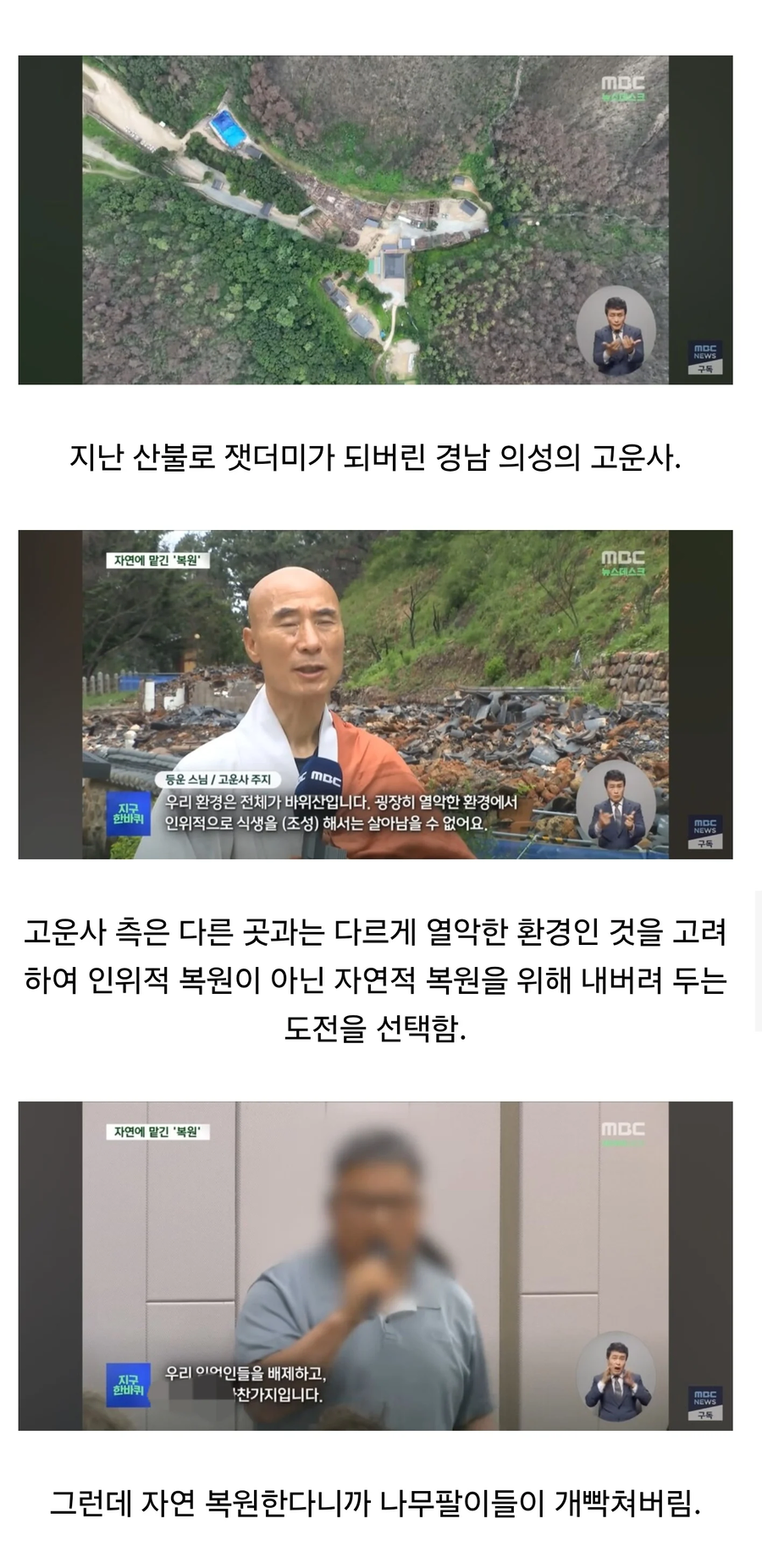 산불로 잿더미가 되버린 고운사 근황_3.webp