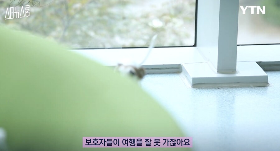 사실은 반려견들이 희생하는거라는 연예인 .jpg_4.png