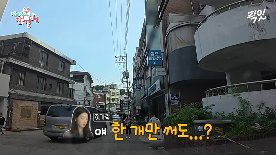 유튜브) 댕댕미 터지는 이세희_20.png