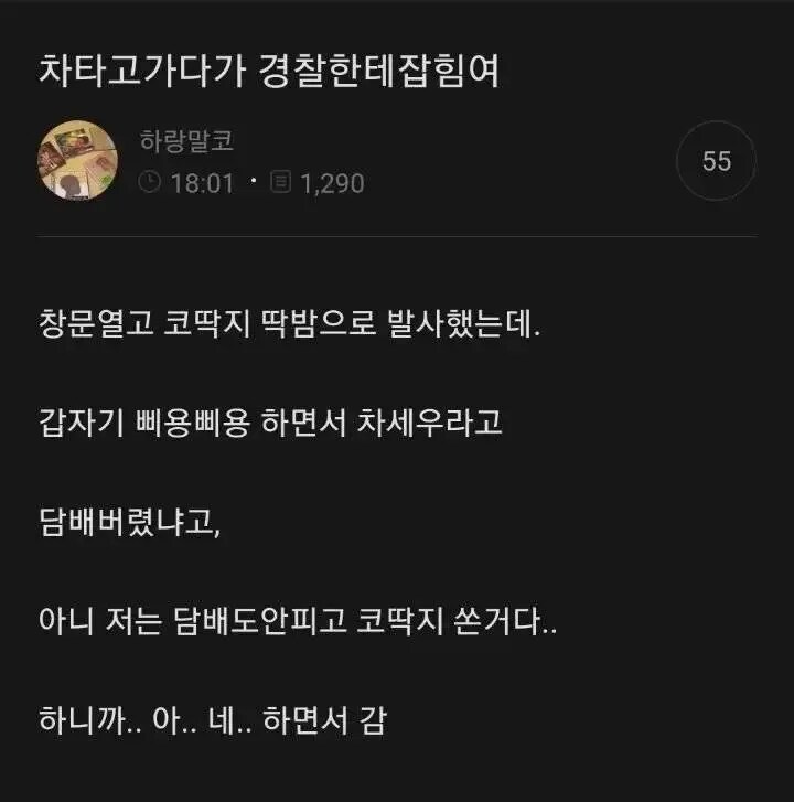 운전중 창문열고 투척하다가 경찰에게 딱 걸림_1.png