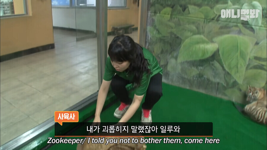 미어캣 : 지금 아니면 기회 없음_6.jpg