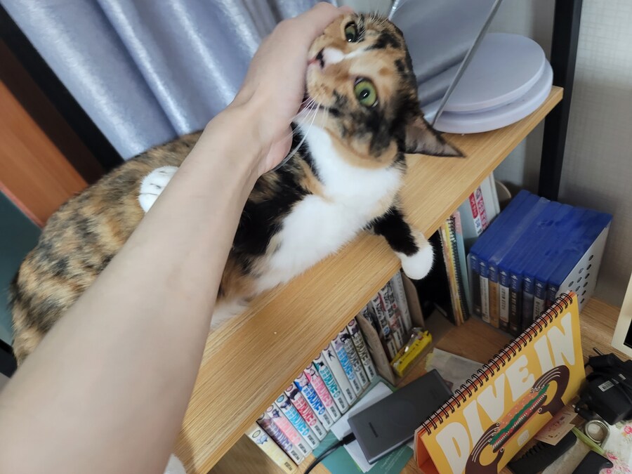 배달유게이 퇴근완료. 비와서 간만에 우의 입었네요_4.jpg