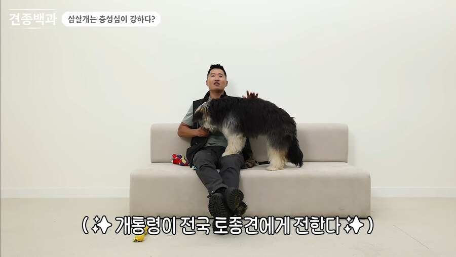 강형욱 이건 좀 논란이 되겠는데..._1.jpg