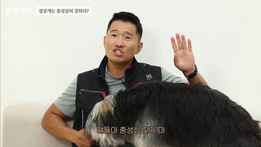 강형욱 이건 좀 논란이 되겠는데..._2.jpg