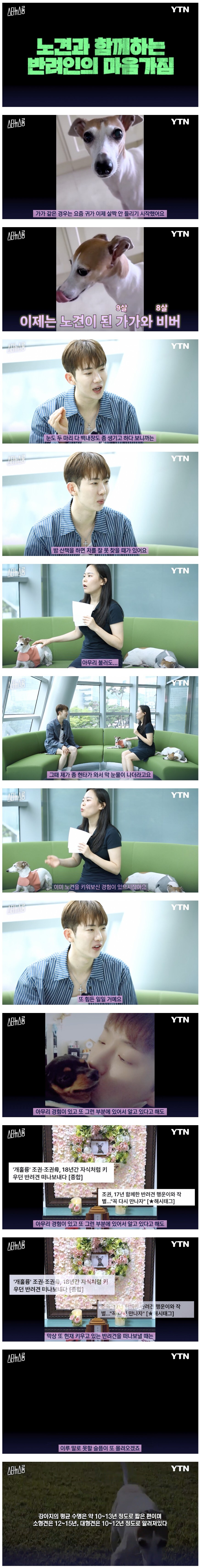 노견을 키우는 반려인의 마음가짐 .jpg_1.jpg