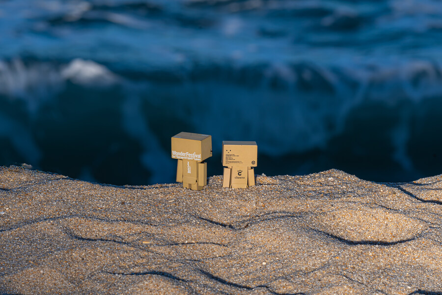 단보 사진 몇장_5.jpg