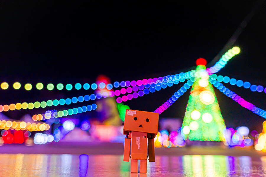 단보 사진 몇장_6.jpg