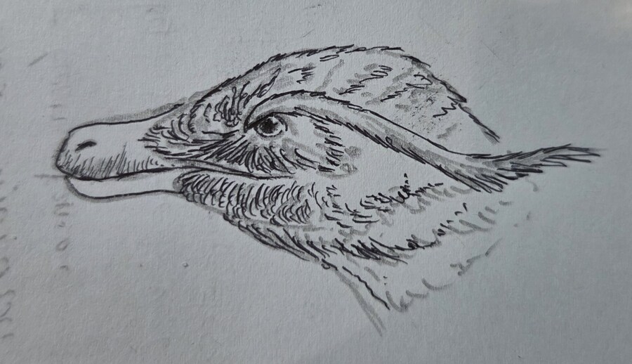 공룡) 공뇽 낙서 한 장_1.jpg