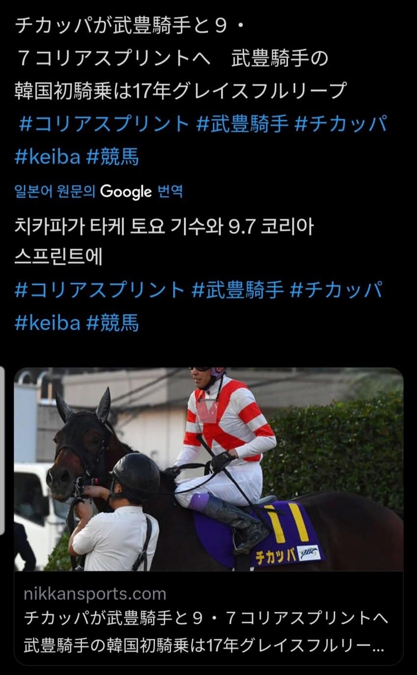 말딸,경마) 이번 코리아컵 출전 확정 지은 사람_1.jpg