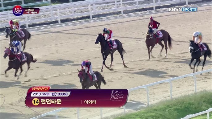 경마) 일본에서 코리아컵을 노리는 이유_1.jpg