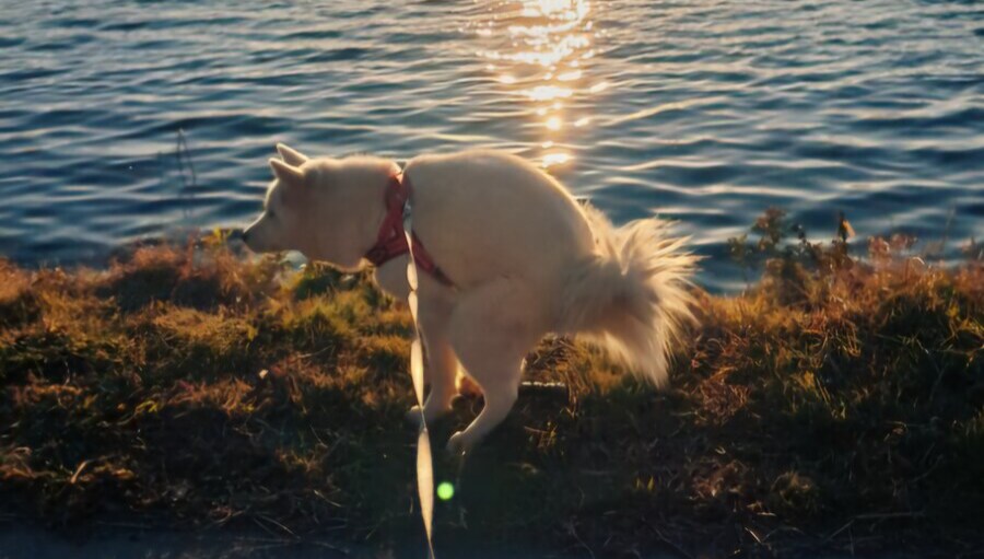 배변보고) 어제 삼겹살 먹고 바로 잤더니 배가 아프네여_1.png