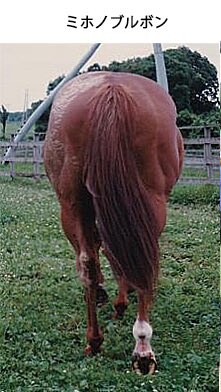 말딸]현실도 가상도 기억에 남는 엉덩이_2.jpg