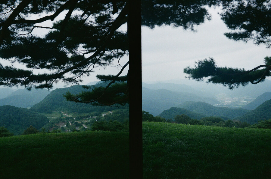 평창 솔캠 다녀왔습니다_2.jpg