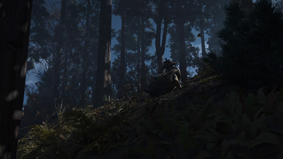 Assassin's Creed® Shadows_13.jpg