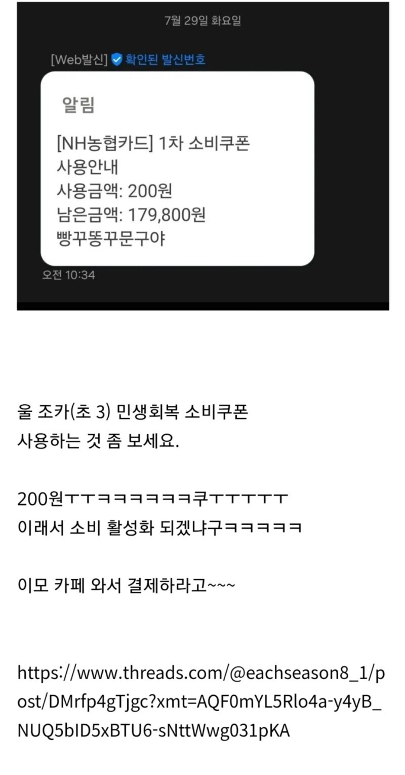 민생지원금을 사용한 10살 조카