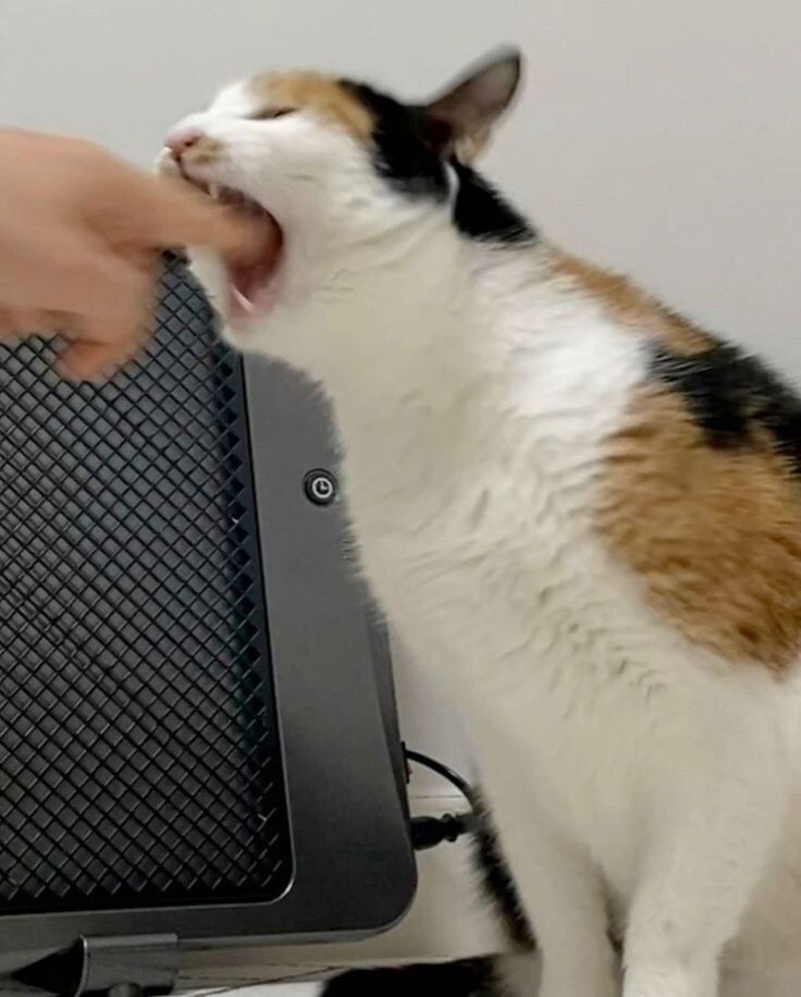 아 집사 진짜 짜증나.jpg_2.jpg