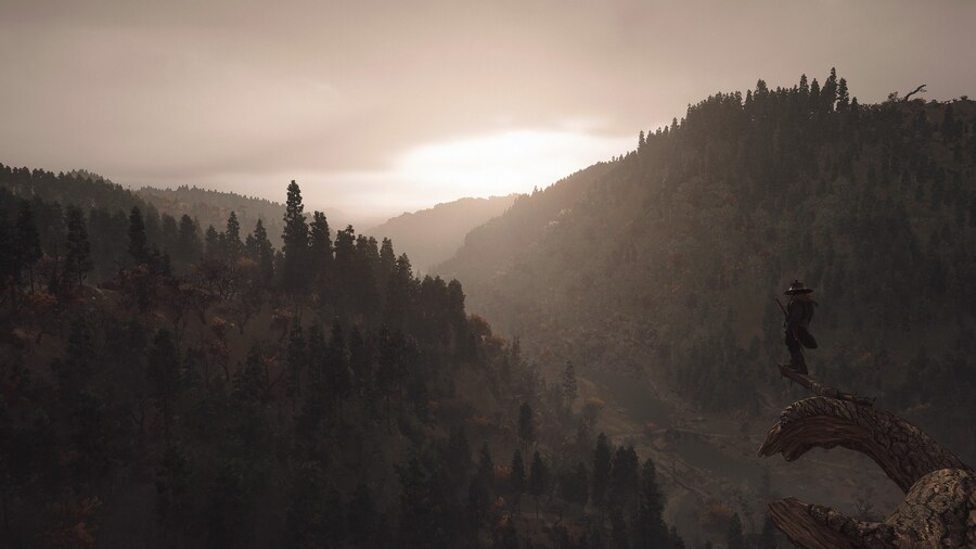 Assassin's Creed® Shadows_13.jpg