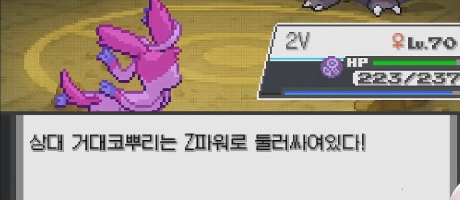 포켓몬 웅이한테 개털린 스트리머.jpg_34.jpg