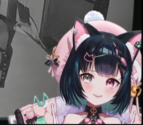 오늘자 다섯시 꽉꽉이 사진_8.png
