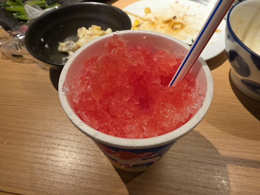 버튜버/초스압)카나타 라이브 관람 겸 여행 후기_102.jpg