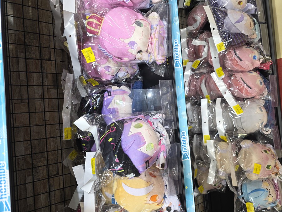 버튜버/초스압)카나타 라이브 관람 겸 여행 후기_114.jpg