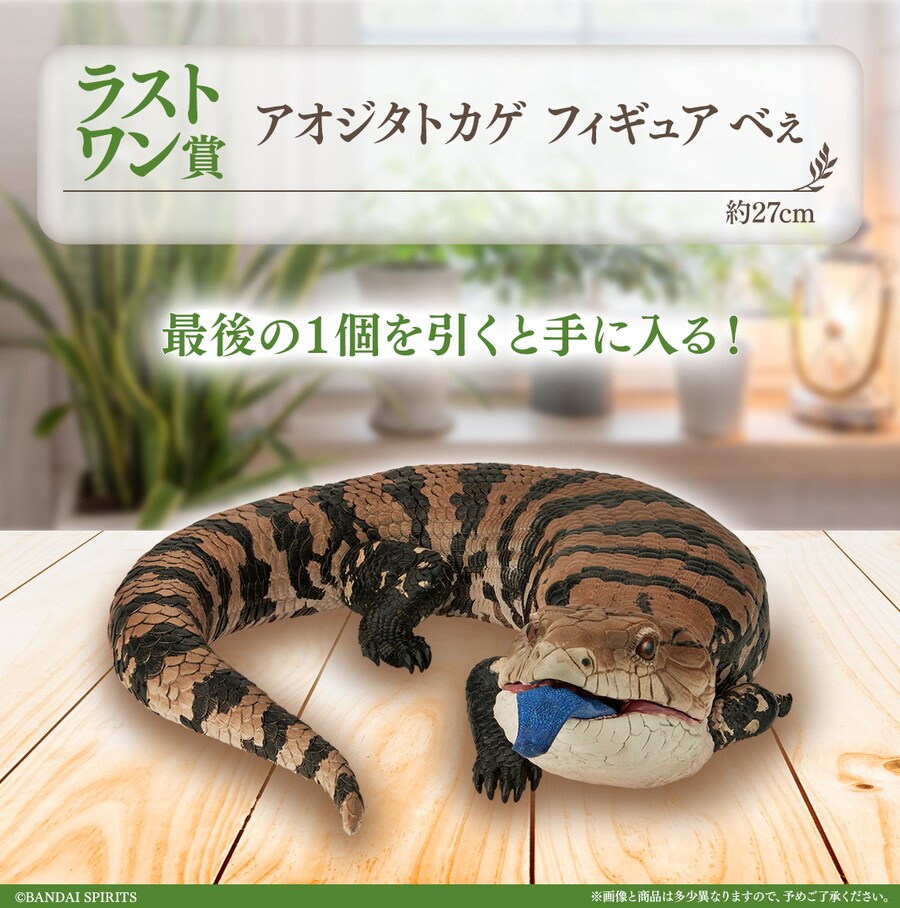 [이치방쿠지][8/21]파충류&양서류-TINY FRIENDS-VOL.2한국발매_11.png