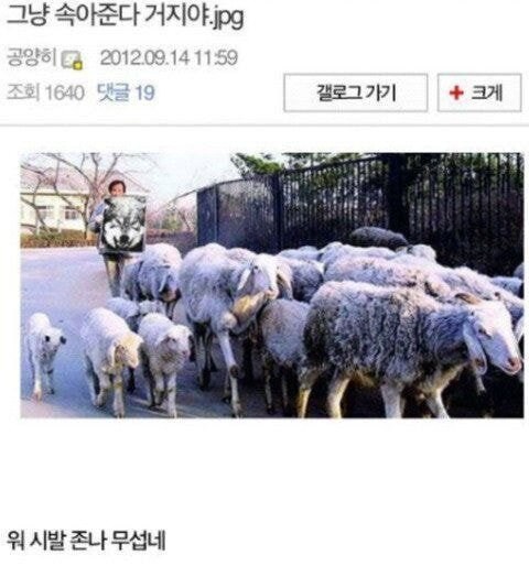 그냥 속아준다 거지야_1.jpg