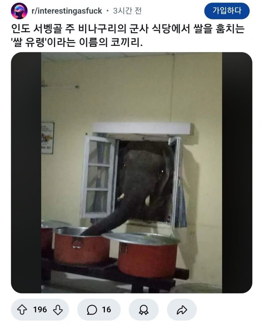 ???: 우리 부대의 밥이 사라지고 있다_1.jpg