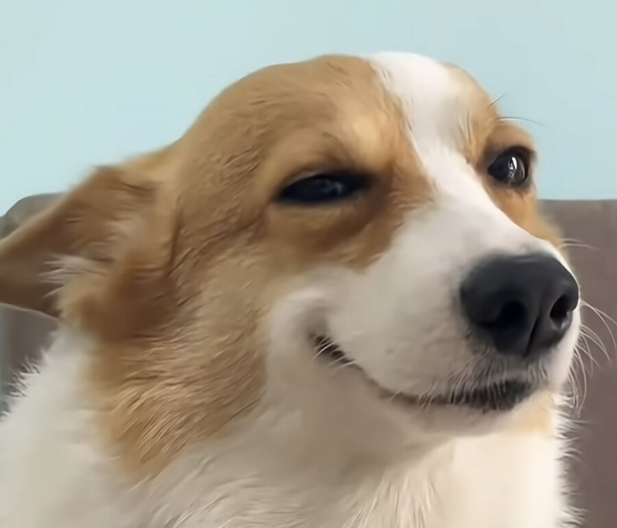 mcu) 데어데블 보다가 생각난건데.._1.jpg