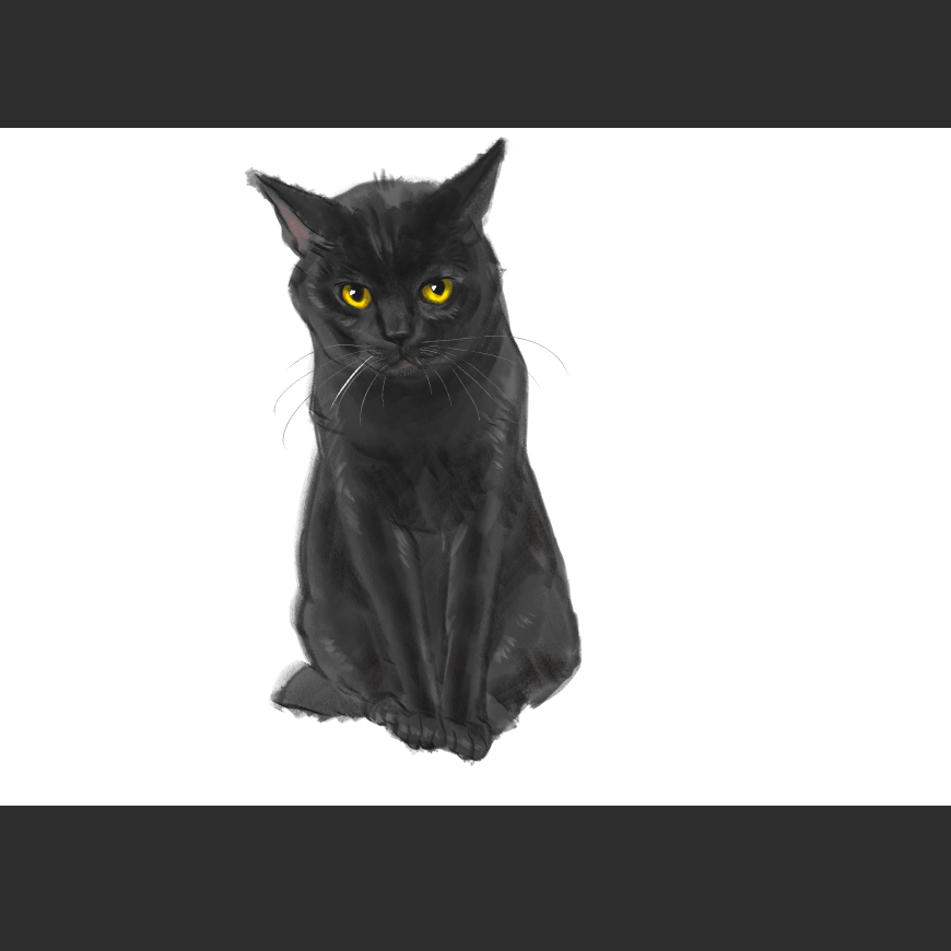 고양이) 넘으집 고양이_1.png