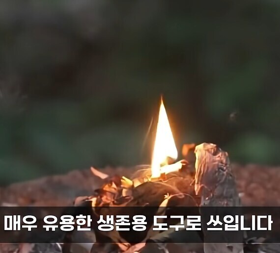 파이어스틸의 맹점_1.jpg