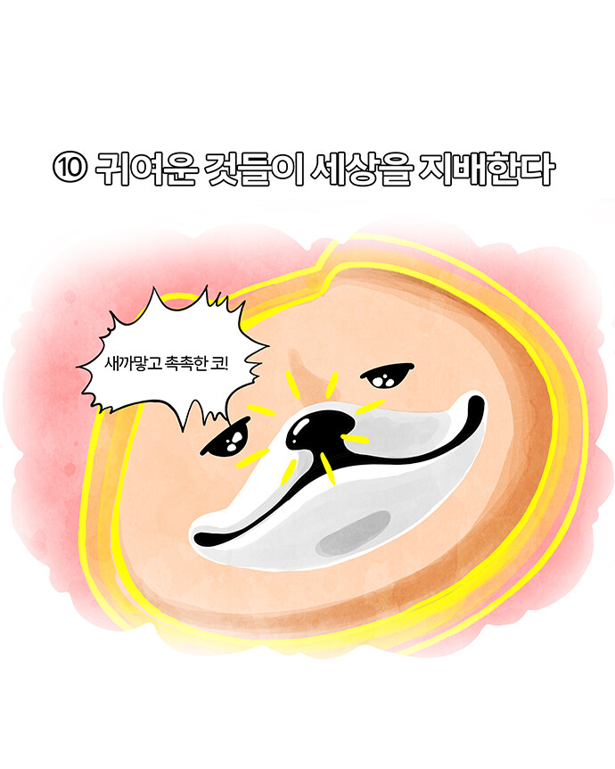 5959 비스트레인저 (Ep.10, 11, 12)_1.jpg