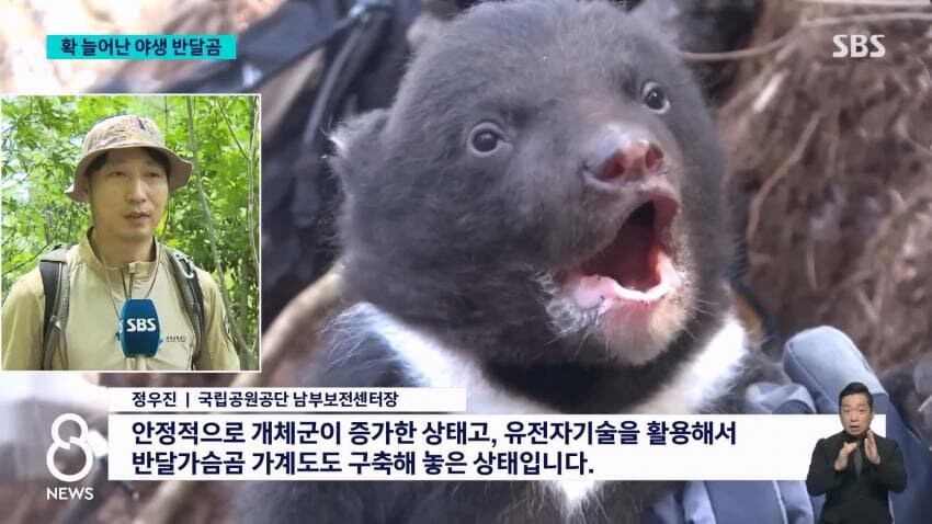 설악산에도 곰방생해야..._5.jpg