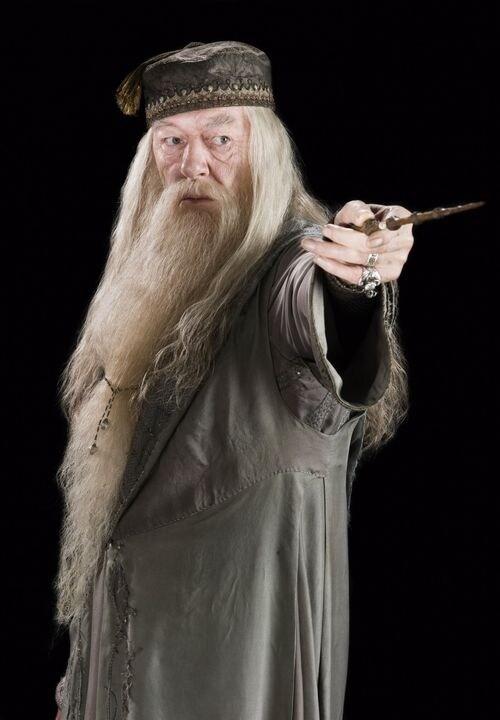 해리포터)덤블도어가 시리우스 무죄를 주장 못하는 이유_2.jpg