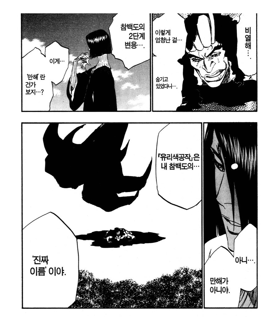 블리치) 잇카쿠 만해 성능이 등신같은건 의도된거라는 추측 .. jpg_8.jpg