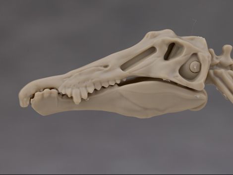 프라노사우루스 쥬라기 월드 스피노사우루스 해외 리뷰_15.jpg