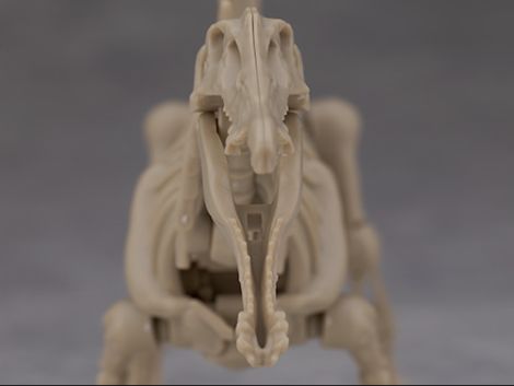 프라노사우루스 쥬라기 월드 스피노사우루스 해외 리뷰_17.jpg