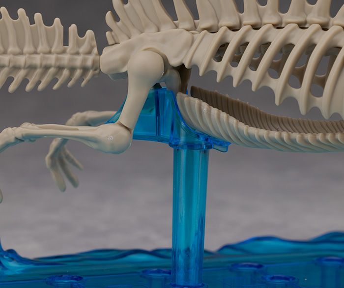 프라노사우루스 쥬라기 월드 스피노사우루스 해외 리뷰_38.jpg